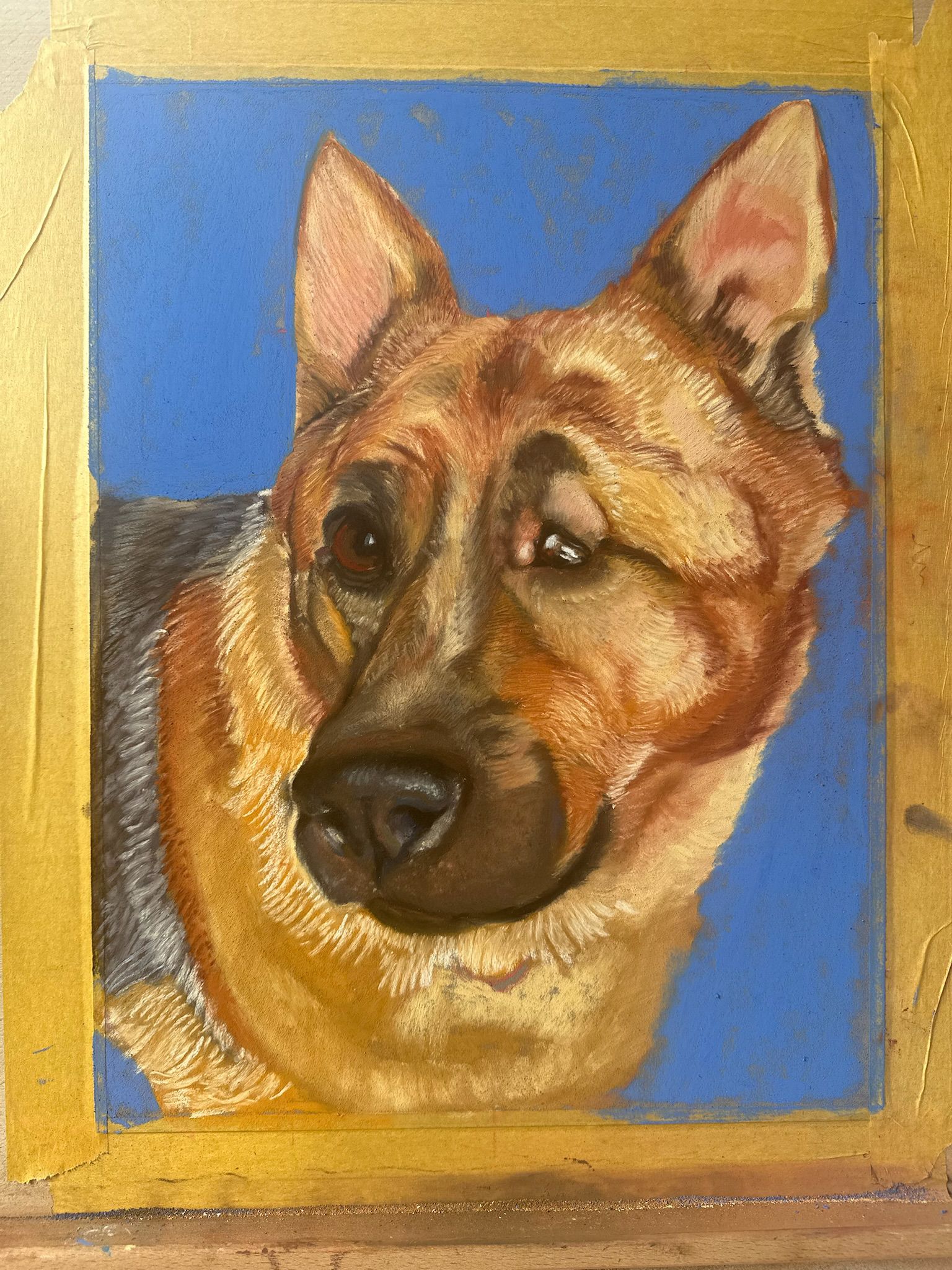 Pet portrait by Laura Lewis